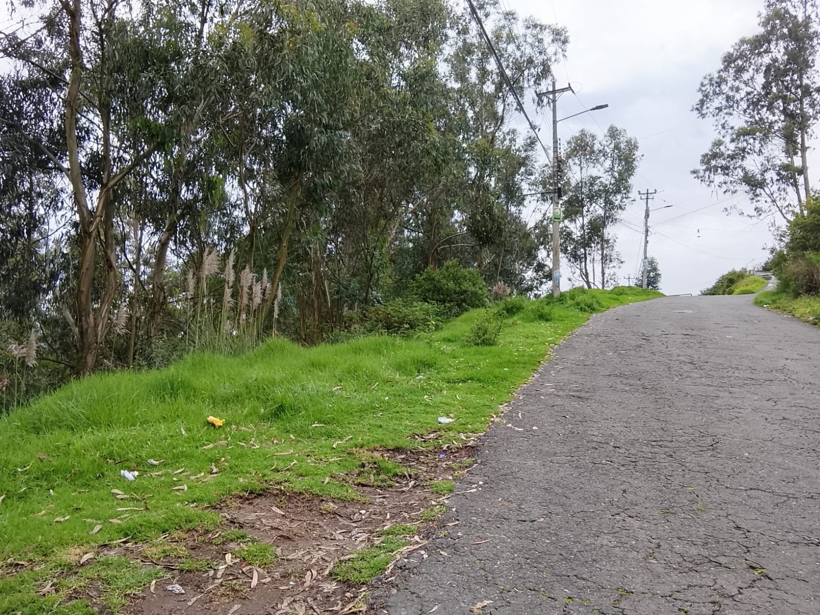 Imagen 2 de TERRENO DE VENTA